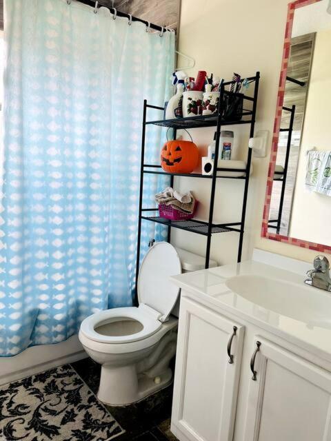 Room In Citrus Park And Carollwood, Close To The Airport & Downtown Tampa Exterior foto
