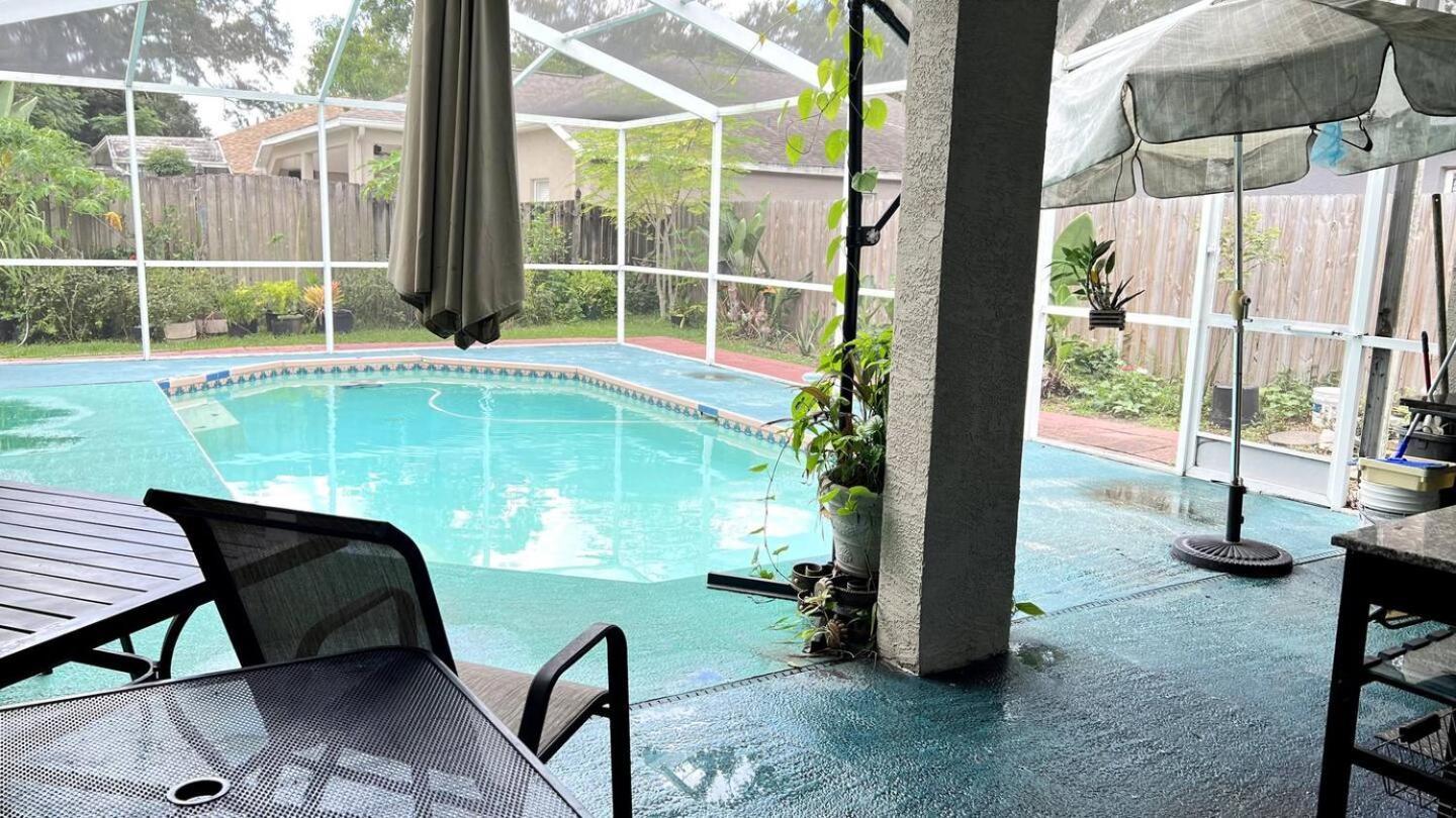 Room In Citrus Park And Carollwood, Close To The Airport & Downtown Tampa Exterior foto